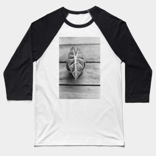 Alocasia Polly Baseball T-Shirt